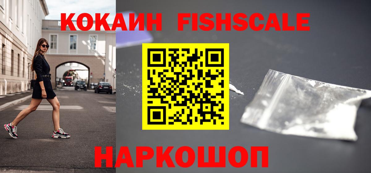Cocaine FishScale  Вход с VPN  Нерюнгри 