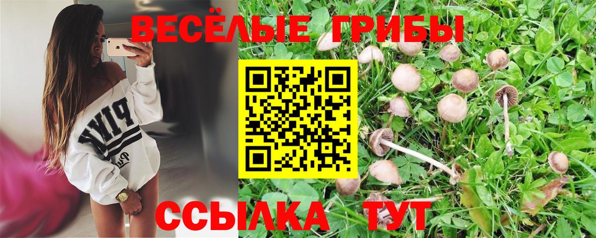 Псилоцибиновые грибы Psilocybine cubensis  Вход с VPN  Нерюнгри 