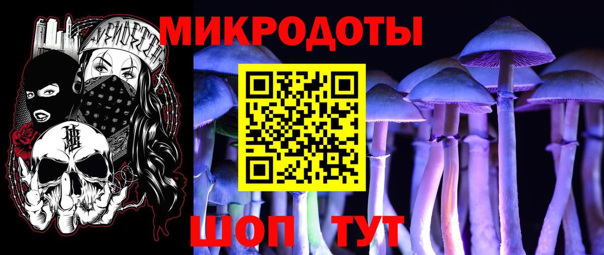 Псилоцибиновые грибы Cubensis Нерюнгри